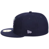 Minnesota Twins MLB Home Run Hues 59FIFTY