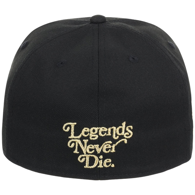 Homestead Grays Legends Never Die Ebbets Field Flannels x NLB Fitted