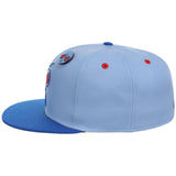 Mr. Freeze DC Villains Fitted